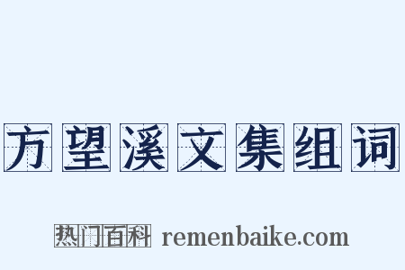 方望溪文集组词是什么意思的图片